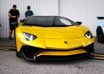 Davis Island 2018 Sean Dutton