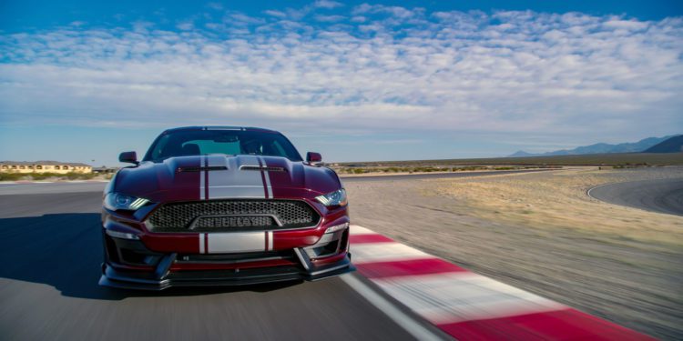 supersnake gallery 1