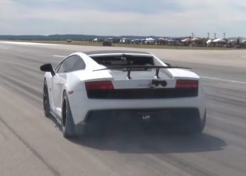 gallardo