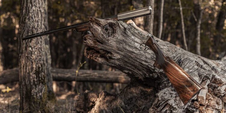 cosmi shotgun.jpg