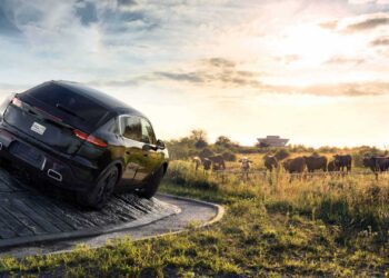 porsche e macan details.jpg