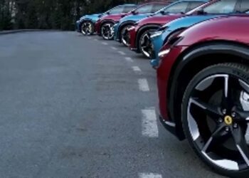 purosangue lineup.jpg