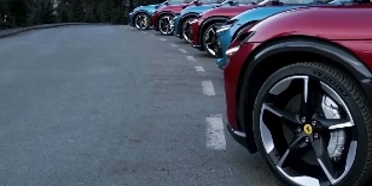 purosangue lineup.jpg