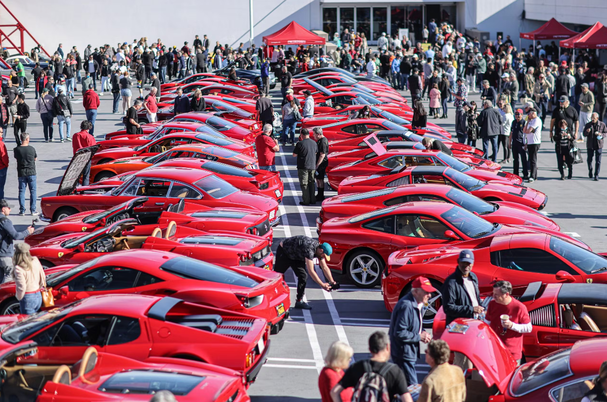 An image of a Ferrari lineup and people walking amongst them.