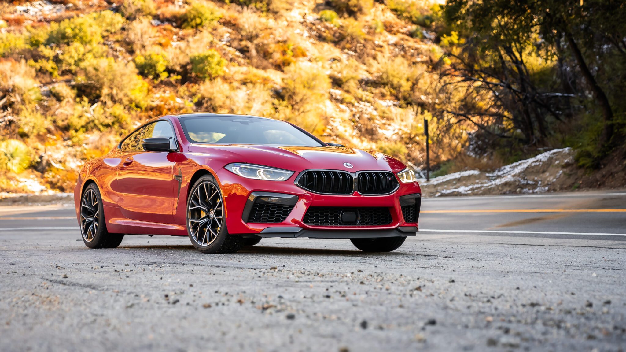 An image of an Imola Red BMW M8 Competition parked outdoors.