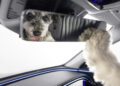 MBUX Bark Assist: Mercedes Benz präsentiert heute einen neuen Sprachassistenten für Hunde MBUX Bark Assist: Mercedes Benz presents a new voice assistant for dogs today
