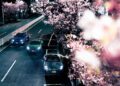 Aston Martin models with Japanese Cherry Blossoms