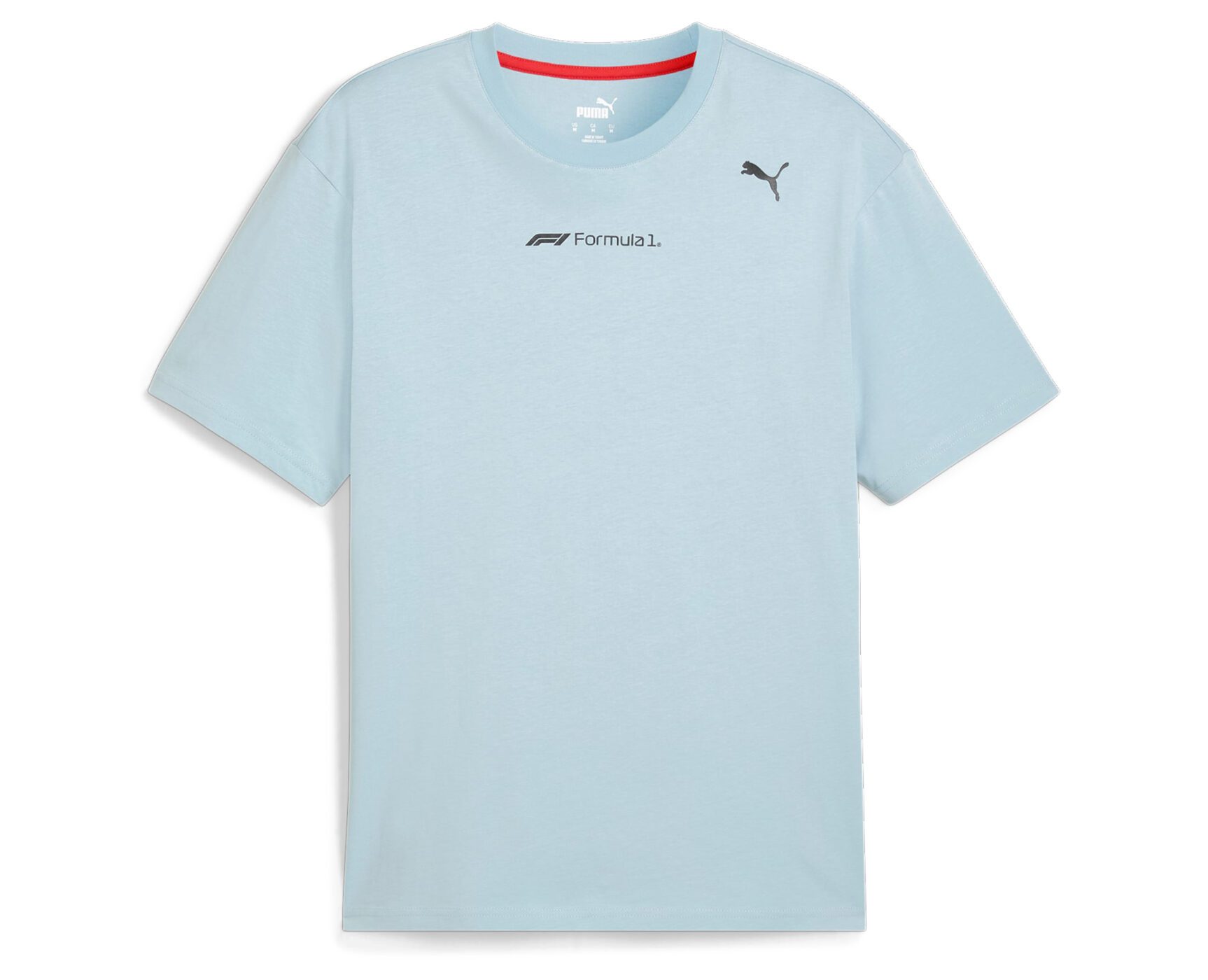 PUMA x F1® Statement Motorsport Men's Graphic Tee