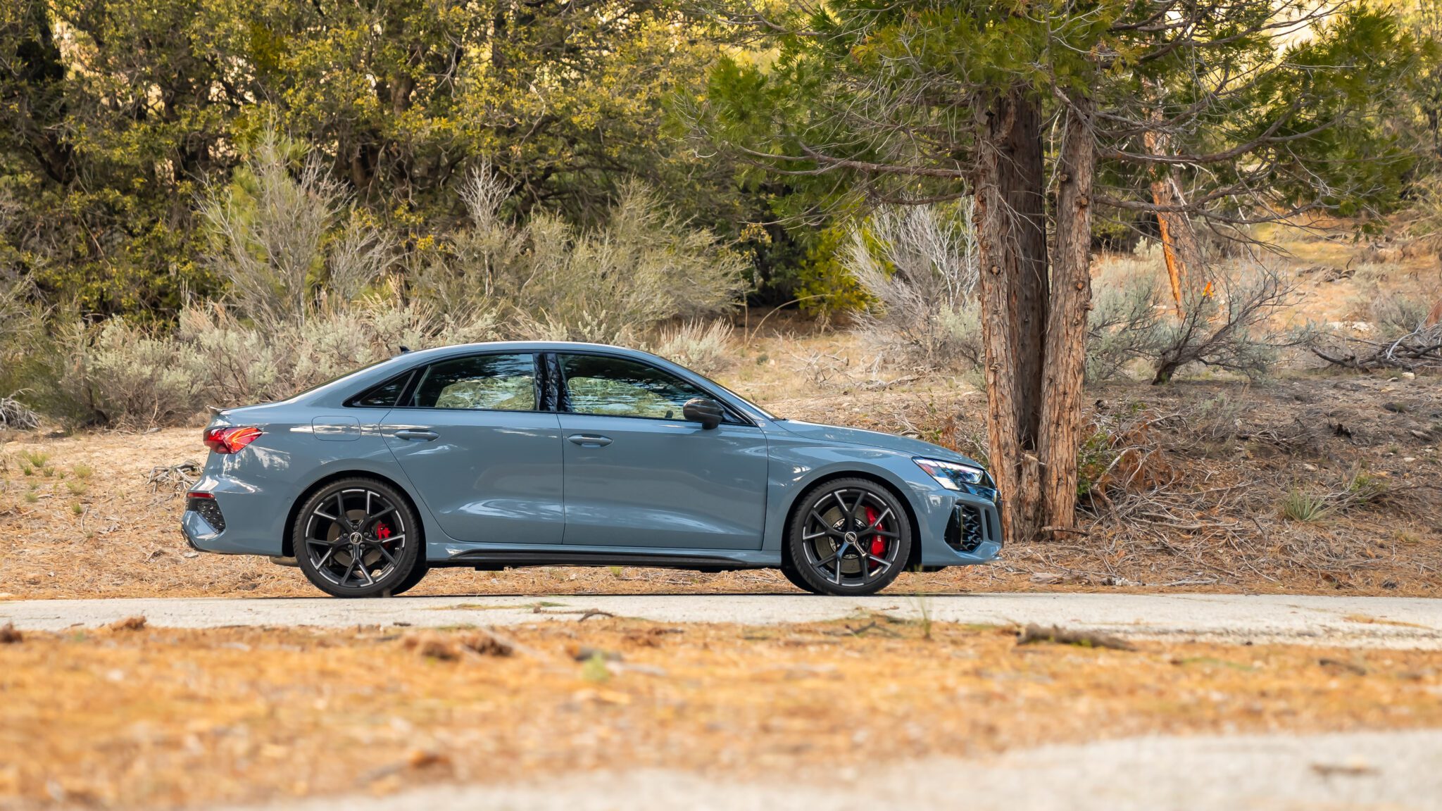 An image of an Audi RS 3 parked outdoors.