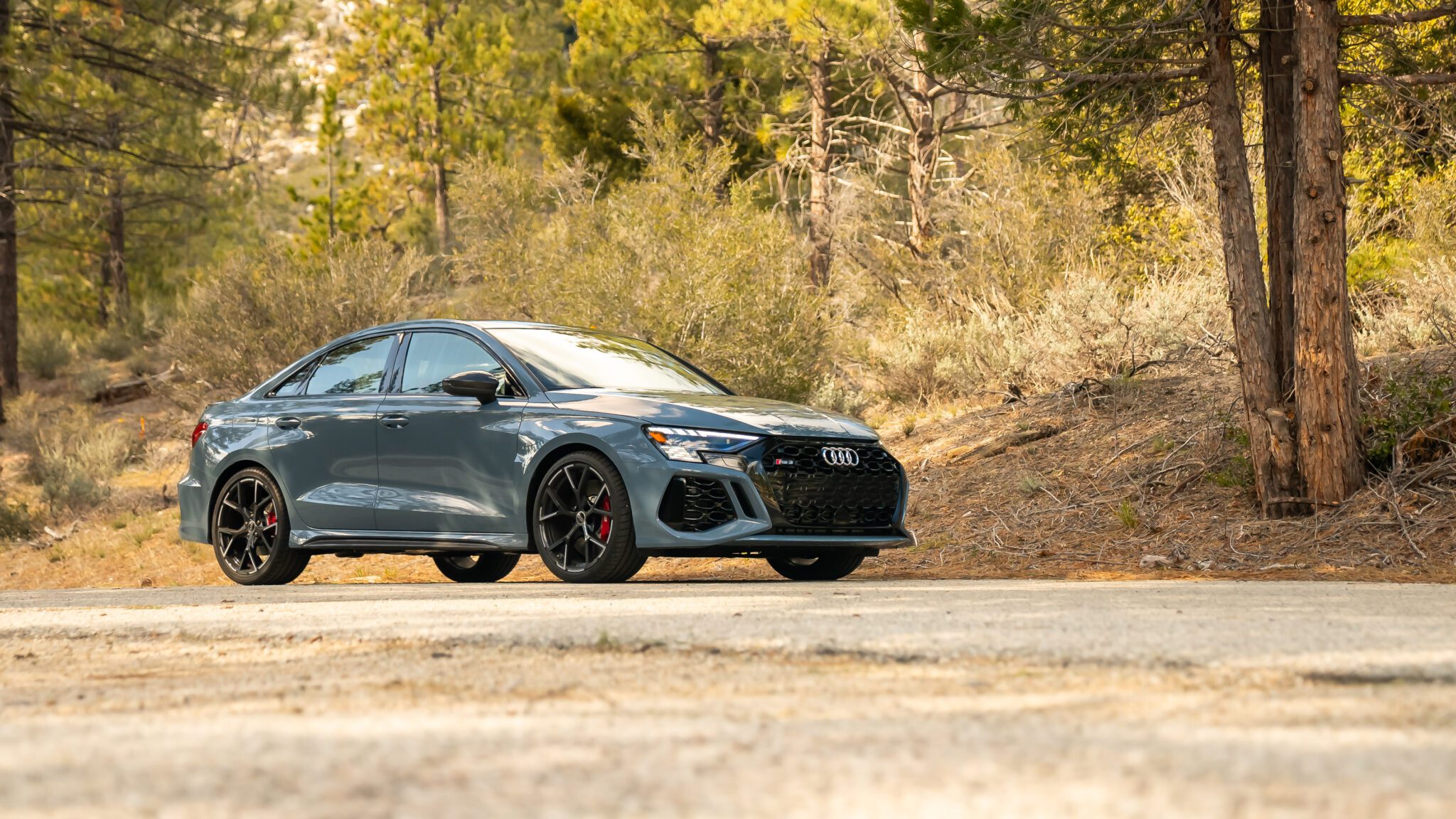 An image of an Audi RS 3 parked outdoors.