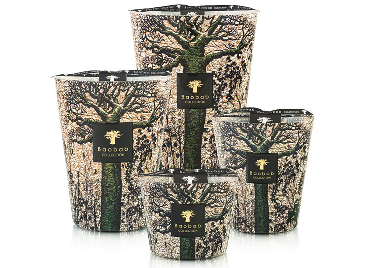 Explore the 2024 Holiday Gift Guide and discover four exquisite decorative candles with baobab tree designs on their outer wrapping, part of the exclusive Baobab Collection available at duPont REGISTRY. Perfect for adding a touch of elegance to any space.
