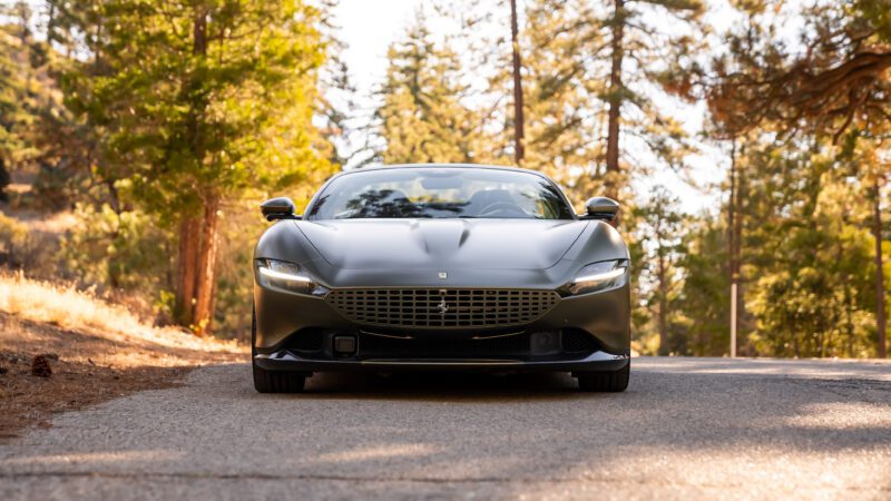 A sleek black sports car parked on a sunlit forest road.