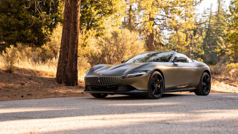 A sleek, matte gray sports car is parked on a forest road, surrounded by tall trees and dry foliage, under a clear sky.