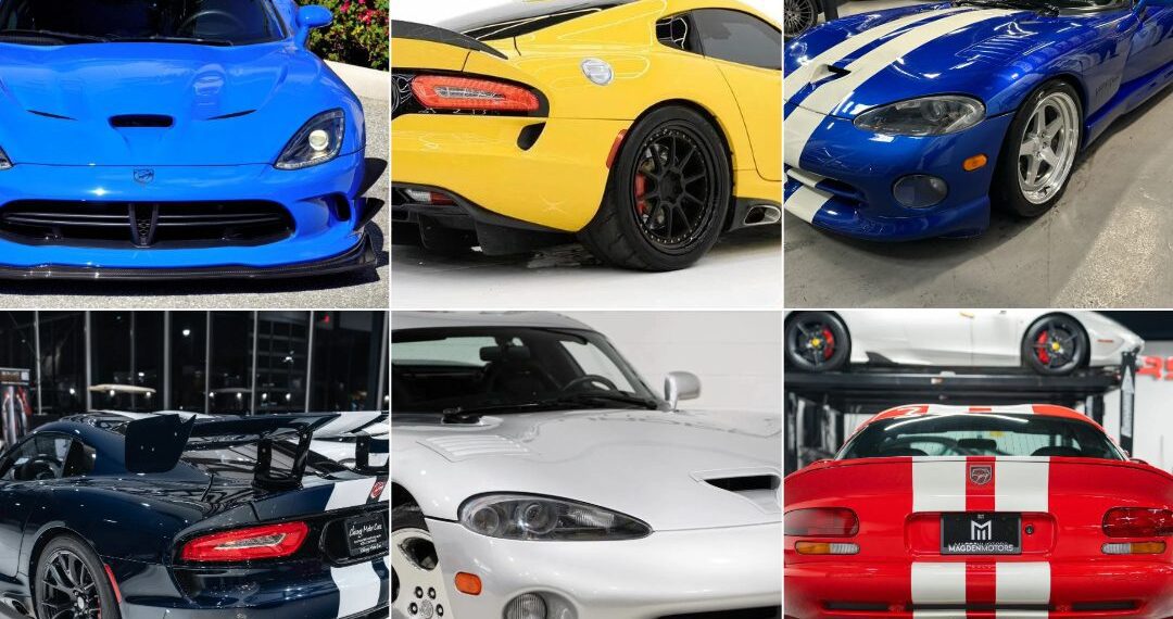 Unleash The Serpent’s Venom: The Best Dodge Vipers For Sale Today