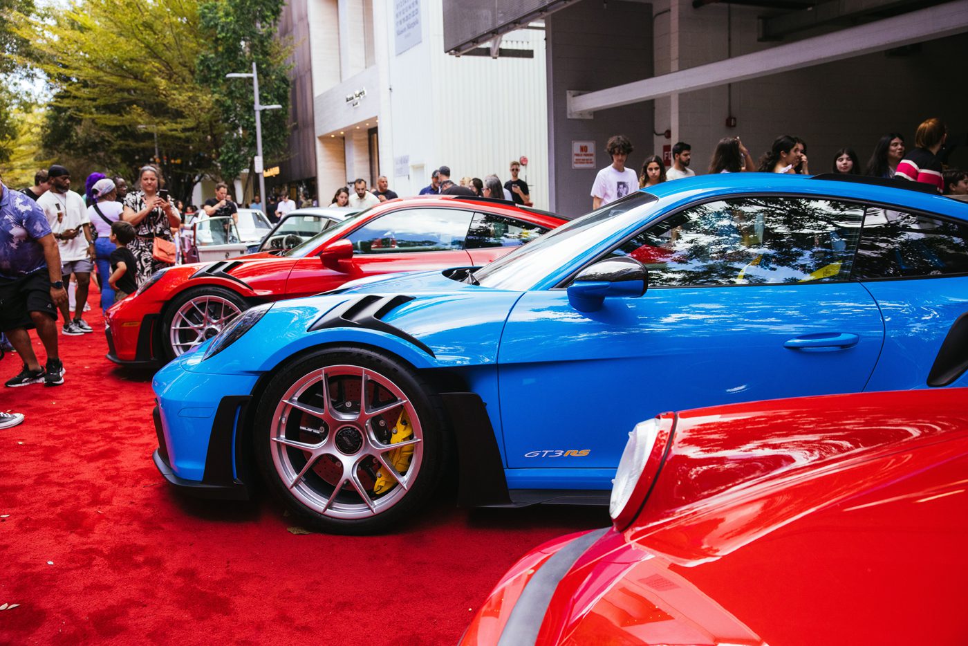 Di Miami Concours 2025, Porsche GT3 RS biru dan dua mobil sport merah berkilau di atas karpet merah di tengah -tengah kerumunan yang bersemangat, mewujudkan esensi tontonan supercar Miami.