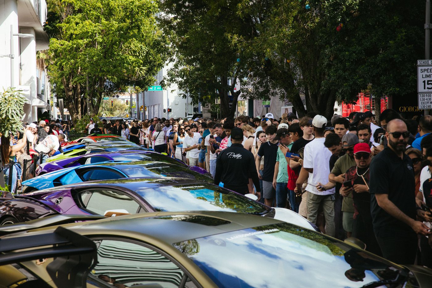 A crowd of people stands around a row of colorful sports cars parked along the tree-lined street, as thousands enjoyed the Miami Concours 2025, turning the event into a vibrant supercar art showcase.