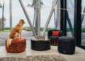 A dog sits on a red ottoman in a modern room with large windows, overlooking palm trees and a deck at the stunning Bentley Residences in Sunny Isles Beach.