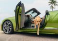 A golden retriever elegantly steps out of a parked green convertible at Sunny Isles Beach, with the iconic Bentley Residences in view and a palm tree swaying gracefully in the background.