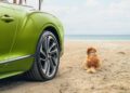 A green car sits parked on Sunny Isles Beach, with a dog comfortably nestled in the sand, gazing at the ocean. The pristine setting and nearby amenities evoke the elegance of Bentley Residences.