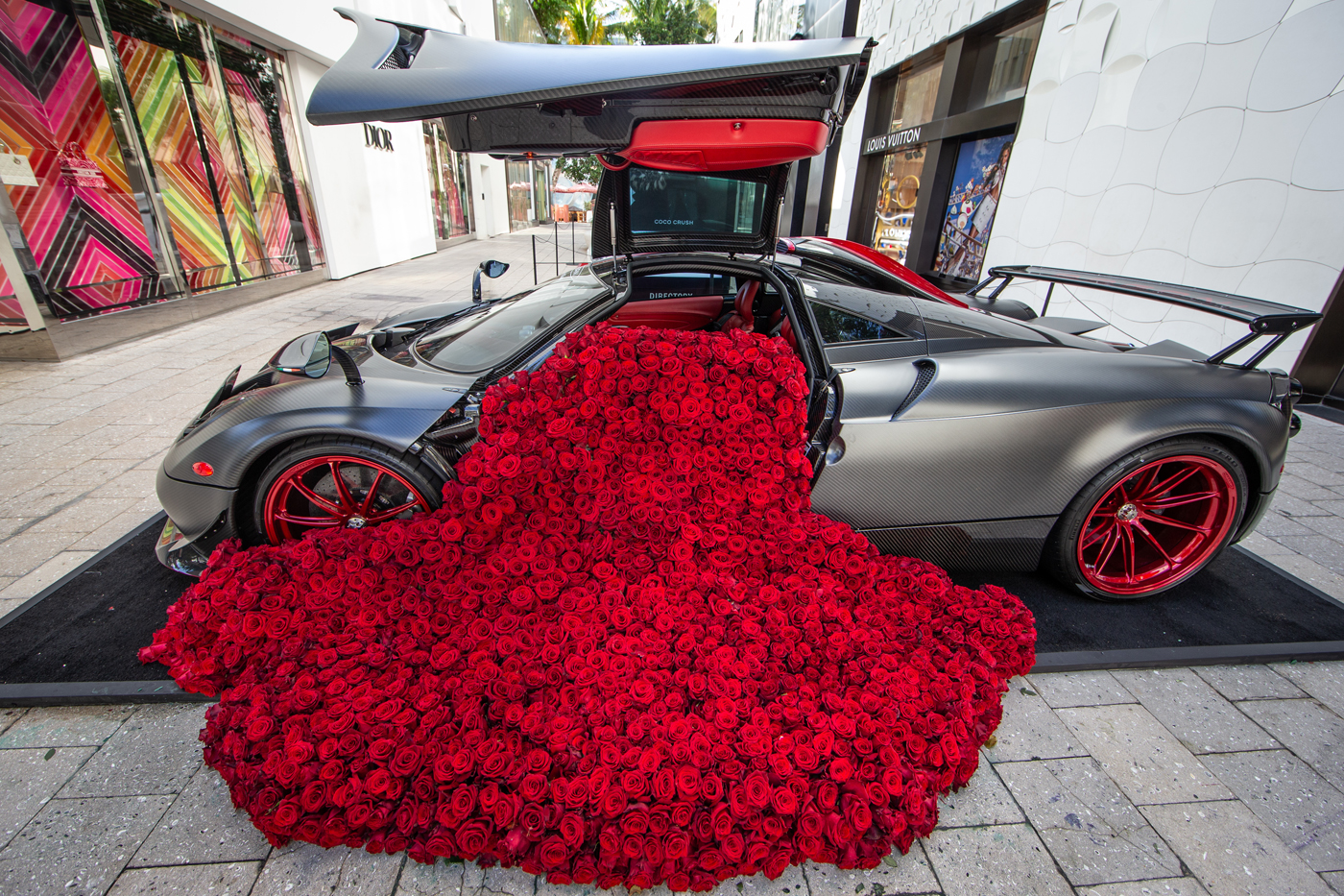 A sleek black supercar with doors open, overflowing with a cascade of red roses onto the pavement, creates an artistic spectacle on a city street during the Miami Concours.