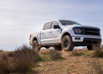 A white pickup truck parked on a dirt road, surrounded by dry grass and bushes under a clear sky.