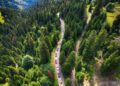 A winding road in Andalusia cuts through a dense forest, with a line of colorful Ferraris traveling along it, surrounded by tall green trees and hilly terrain—a true Cavalcade Siviglia spectacle.