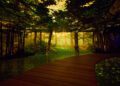 A curved wooden path runs through Genesis House’s The Forest Within, a room designed to look like a sunlit forest, with immersive digital projections of trees, foliage, and sunlight on the walls and ceiling.