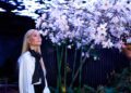 A person with long blonde hair, reminiscent of Gwyneth Paltrow, stands under a blooming tree with white flowers, wearing a white shirt and large black bow, gazing upward as if searching for The Forest Within.