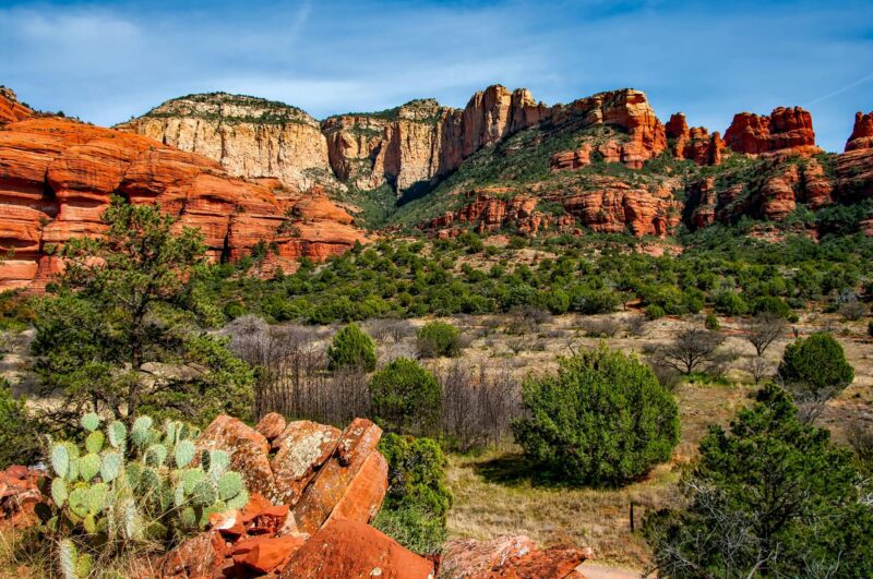 Red rock formations and cliffs rise behind green shrubs and cacti under a blue sky, creating a scenic backdrop for one of the top U.S. off-roading destinations in this desert landscape.