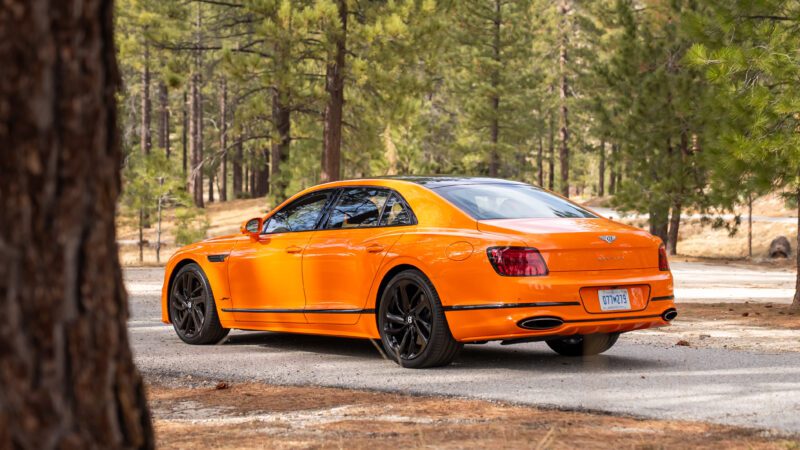 An orange luxury sedan with black wheels is parked on a forest road surrounded by tall pine trees.