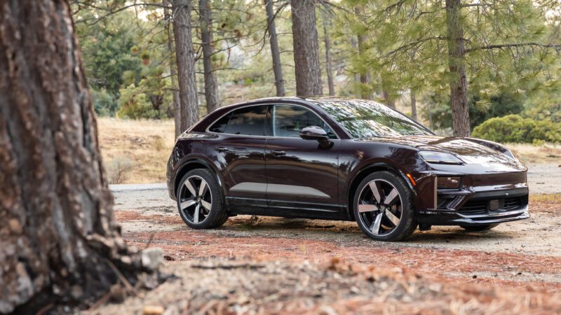 A dark-colored SUV is parked on a dirt area in a forest setting with tall pine trees in the background.