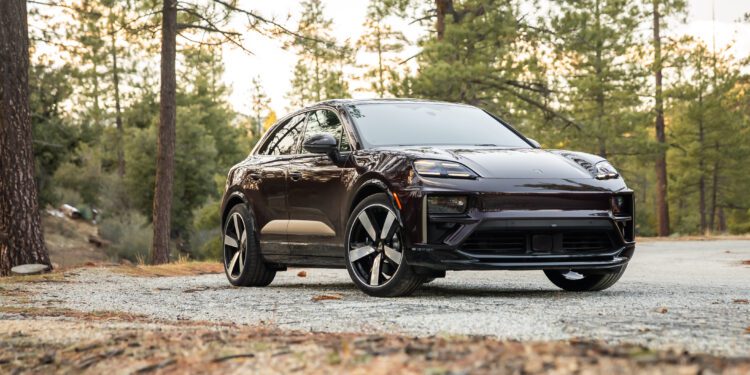 A dark-colored electric SUV is parked on a gravel road in a forested area with tall trees and scattered dry leaves.