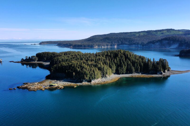 A forested island sits in calm blue water, with Alaska’s larger, tree-covered landmass and a clear blue sky in the background, hinting at the wild beauty and potential of this gold-rich region.