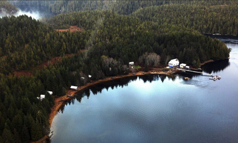 Aerial view of an Alaska forested shoreline with several buildings, including a white house by a dock, next to a calm body of water, highlighting the area's golden potential for serene living.