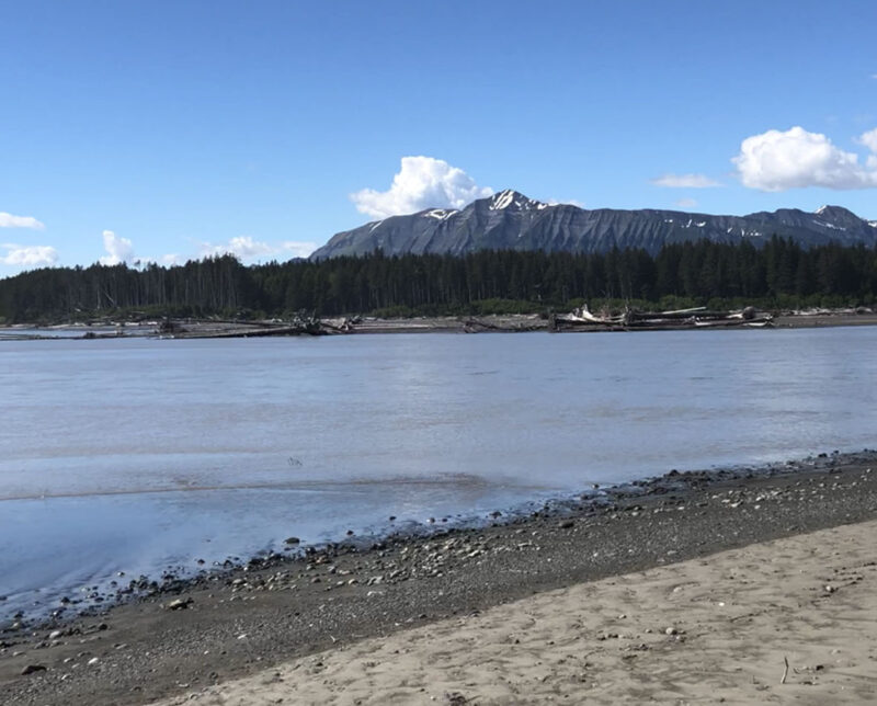 A sandy Alaska riverbank with calm water in the foreground, a forested area, and snow-capped mountains in the background under a clear blue sky—nature's golden potential on full display.