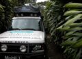A Land Rover with research drive-a-thon branding navigates a narrow path surrounded by dense green foliage, reminiscent of the legendary vehicles set for the Land Rover Classic to Showcase 10 Historic Expedition Icons at 2025 Pebble Beach Concours d'Elegance.