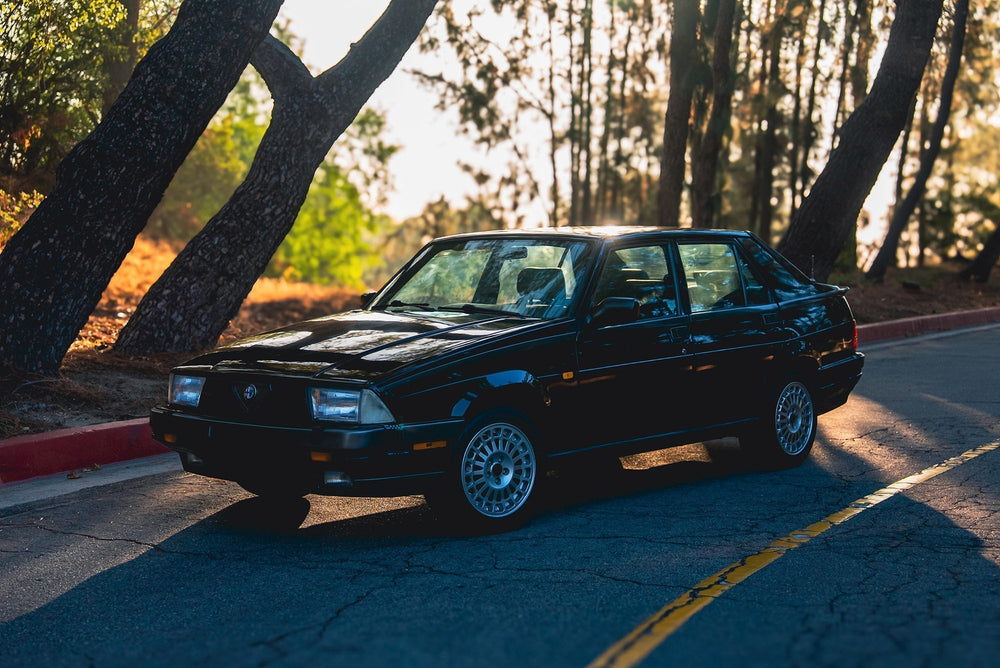 A black vintage Alfa Romeo sedan is parked on a curved road lined with trees, with sunlight filtering through the branches in the background—a true Petrolicious moment.