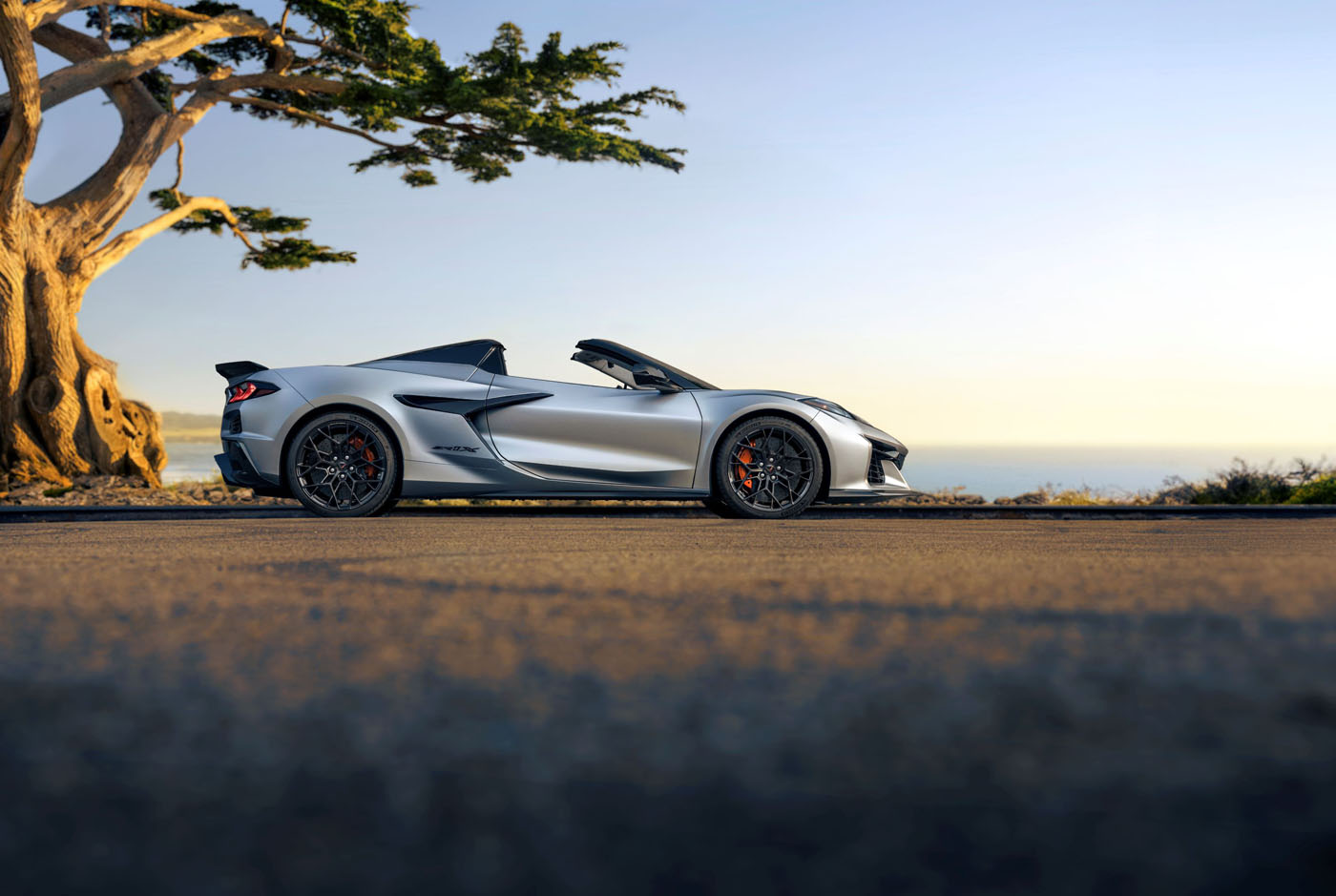 A Quail Silver Limited Edition 2026 Corvette ZR1X convertible sports car is parked on a coastal road near a large tree, with the ocean and clear sky in the background.