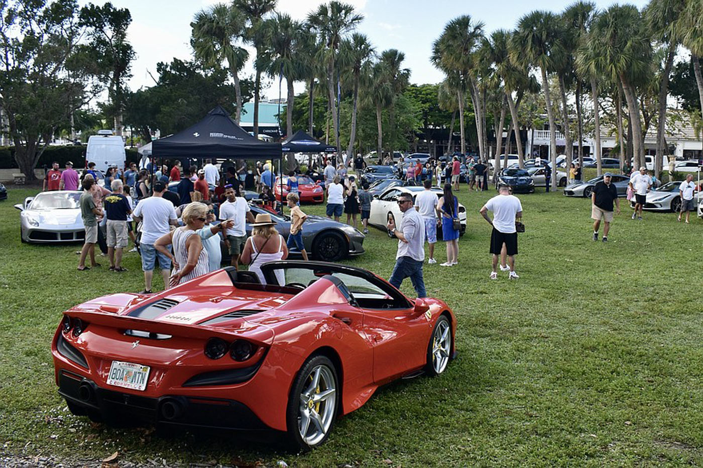 A red sports car is parked on grass at the Exotic Car Show in St. Armands Circle, Sarasota, with people gathering near other cars and palm trees swaying in the background.
