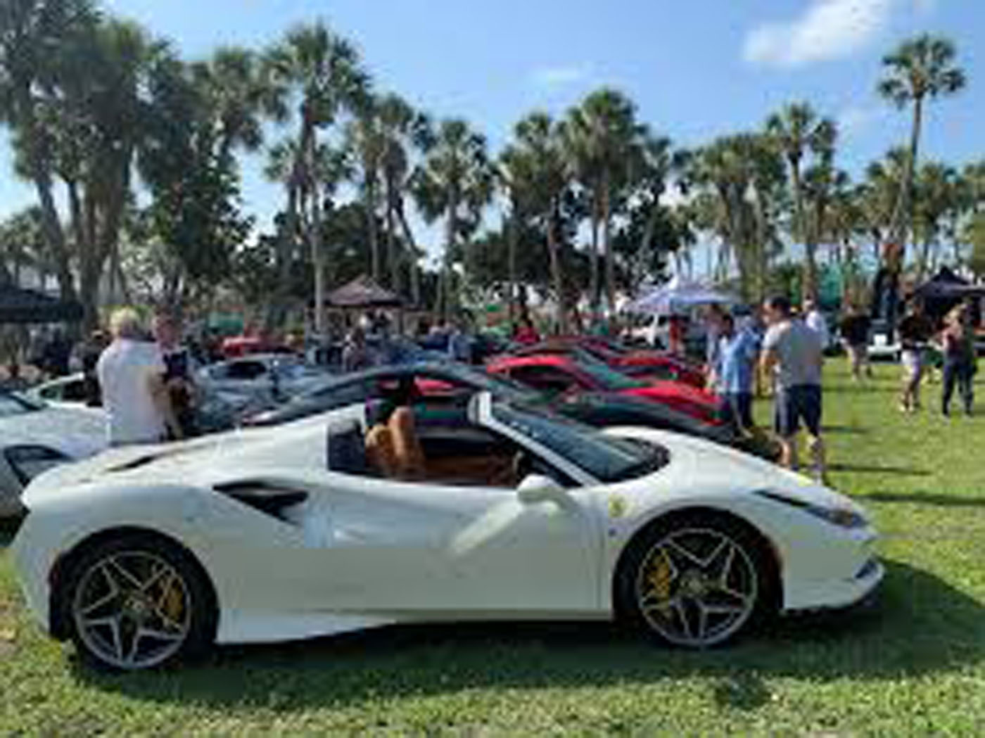 A white sports car is parked on grass alongside other cars at the Exotic Car Show in St. Armands Circle, Sarasota, with people and palm trees in the background.