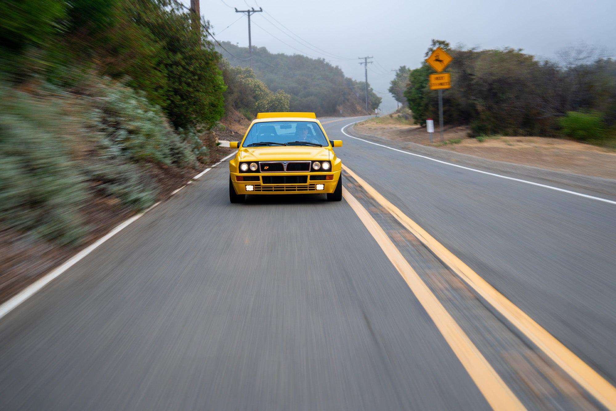 A yellow Lancia Delta Integrale Evo 2 drives on a winding, two-lane road bordered by trees and bushes, with road signs and telephone poles visible ahead—pure Petrolicious charm.