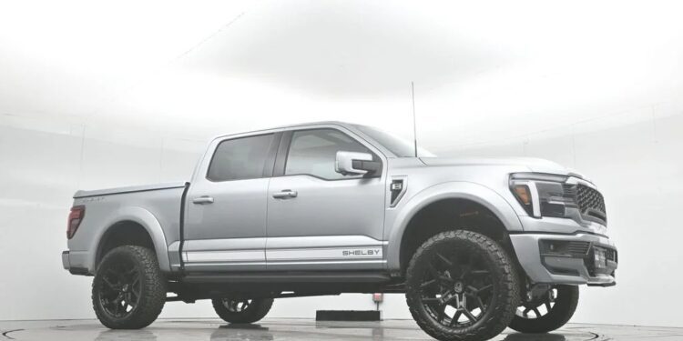A silver Ford F-150 pickup truck with large black wheels and bold "SHELBY" branding is parked in a white studio setting, showcasing the premium style of Shelby trucks.