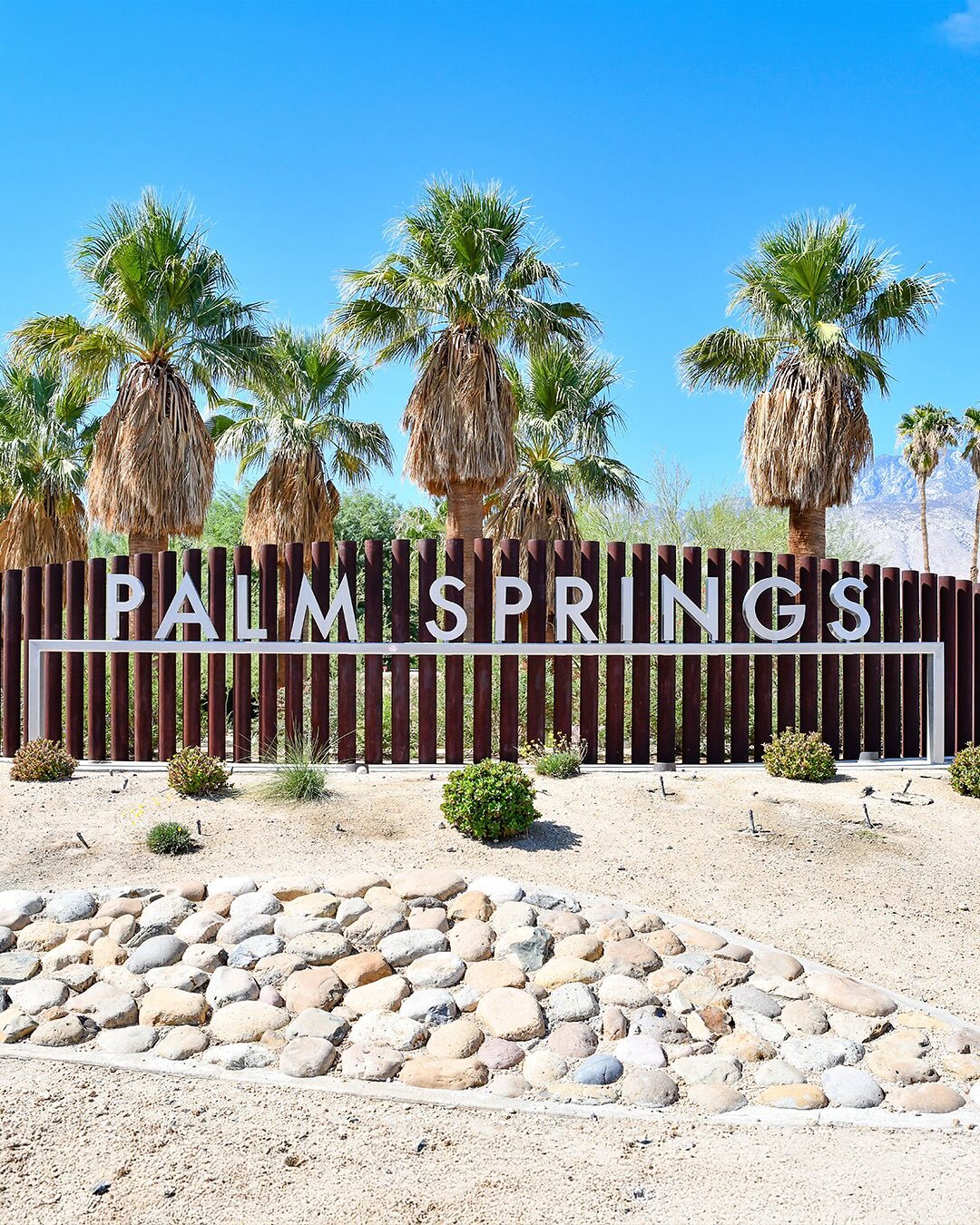 A sign reading "Palm Springs" stands in front of palm trees, a wooden fence, and a landscaped area with rocks and sand under a clear blue sky—perfect for the ultimate SHEdrives adventure.