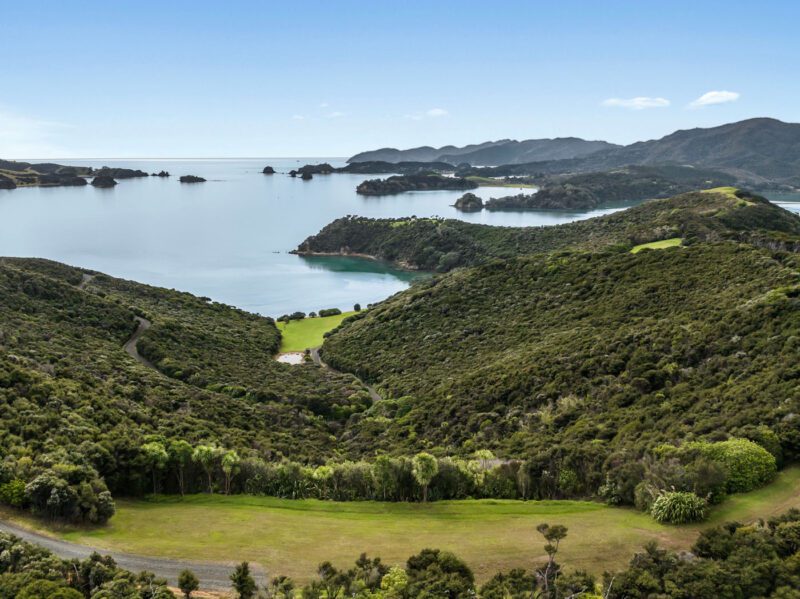 Aerial view of the New Zealand coastline with rolling green hills, dense vegetation, and calm blue water under a clear sky.