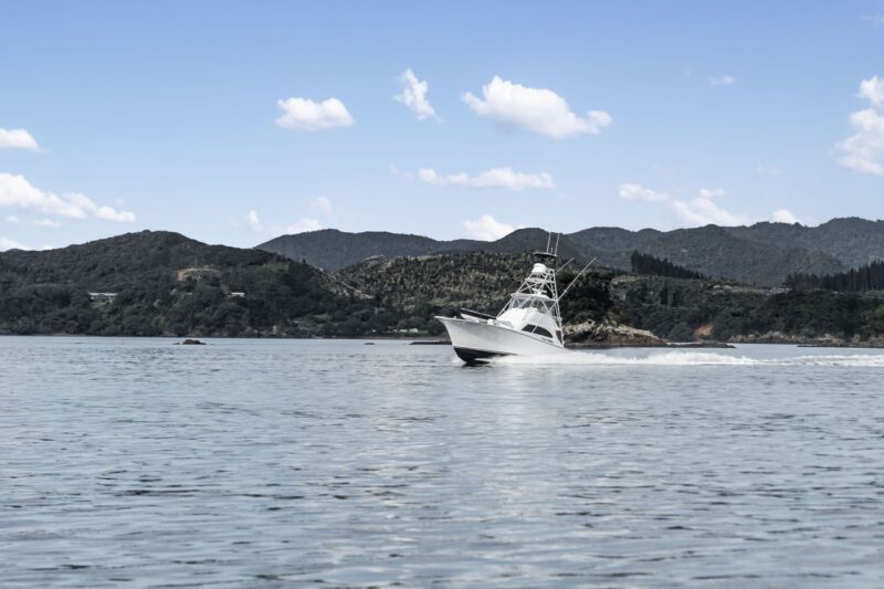 A white motorboat travels across calm water along New Zealand’s coveted coastline, with forested hills and a partly cloudy sky in the background.