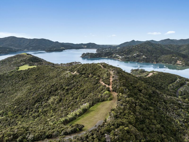 Aerial view of a hilly, forested landscape with winding dirt paths, overlooking New Zealand’s coveted coastline—a calm bay with anchored boats and distant mountains under a clear sky.