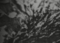 Close-up of a black and white abstract pattern with sharp, jagged lines and textured surface, reminiscent of the intricate woodwork found in a Rolls-Royce luxury car interior.