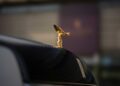 A gold Spirit of Ecstasy hood ornament is mounted on the hood of a car, as Rolls-Royce honors 100 years of Phantom with a groundbreaking private collection. A blurred background completes the elegant scene.