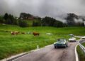 Classic cars drive on a winding road through South Tyrol's green countryside, with grazing cows, rolling hills, and misty clouds in the background—an idyllic scene from the Ferrari Cavalcade in Italy.