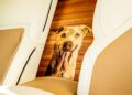 A realistic wooden inlay of a dog’s face, inspired by Bailey, is set between two tan and white car seats in this Bespoke Rolls-Royce masterpiece.